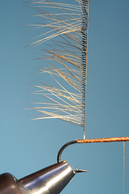 gefaltete Hechelfeder