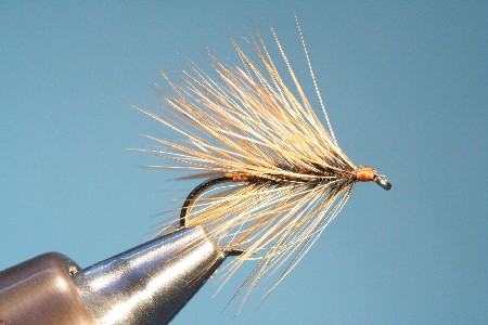 gefaltete Hechel