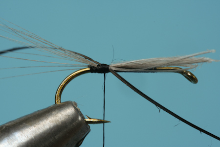 Fiber einbinden