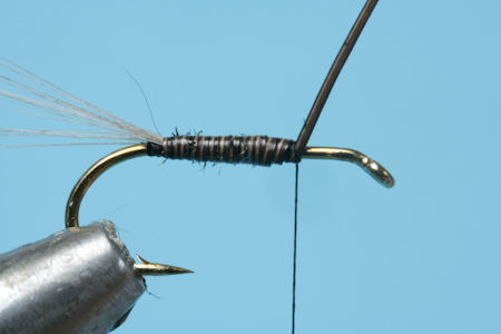 Fiberk�rper winden