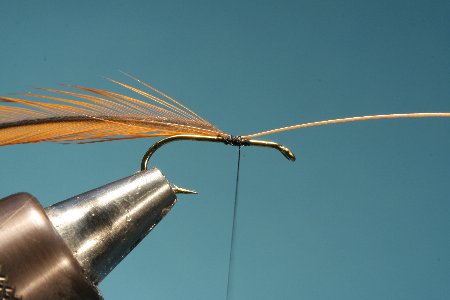 Hechel auf Hakenschenkel binden