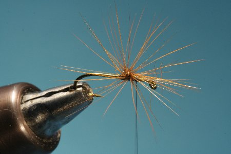 fertige Parachute Hechel