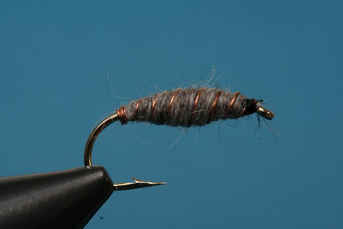 Sayers Grayling Killer Bug