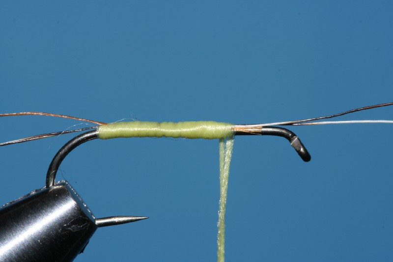 Floss nach vorne Binden