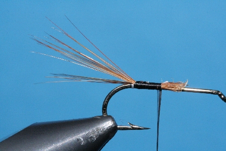 Fertiger Schwanz mit Schlaufe gespreizt