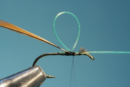 Hechelfeder einbinden