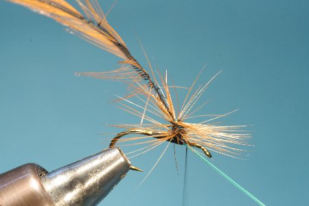 Schlaufe zugezogen