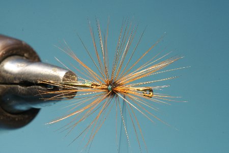 Die fertige Monoloop Hechel