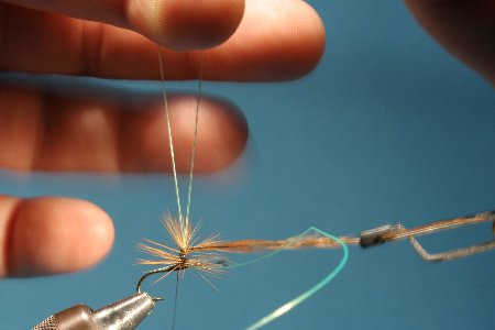 Schlaufe vor dem Zusammenziehen