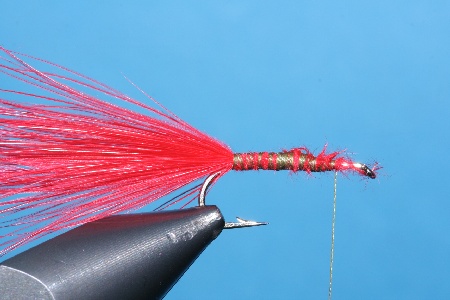 Marabou06