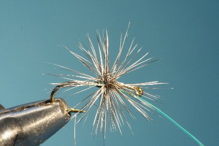 Draufsicht