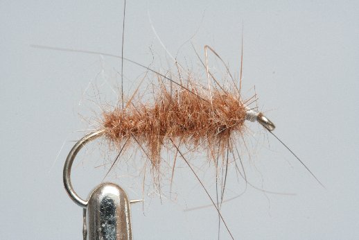 Muskrat_Schlaufe