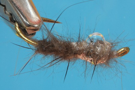 Nutria Nass Nutria Nass