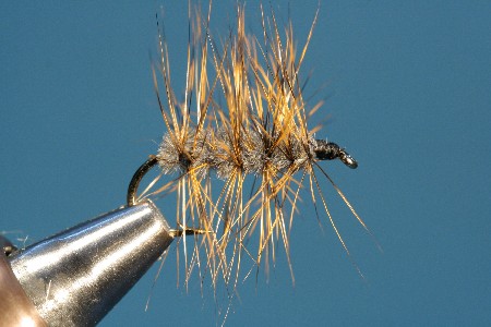 fertige eingebettete Palmerhechel