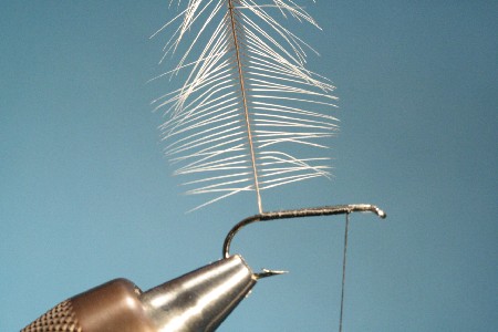 Feder mit Spitze einbinden