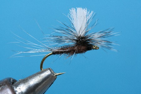 Fertige Parachute