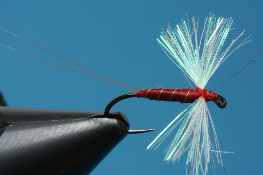 RotSpinner011