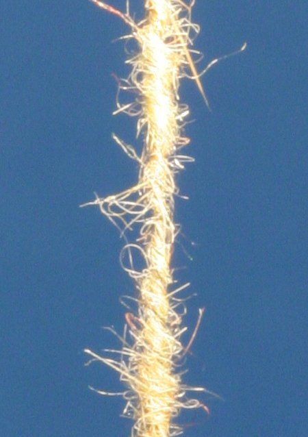 Dubbingstarng Struktur