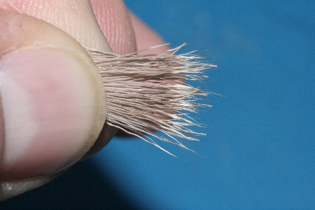 Ausgerichtete Haare