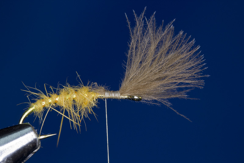 Shuttle Emerger- CDC Festlegen