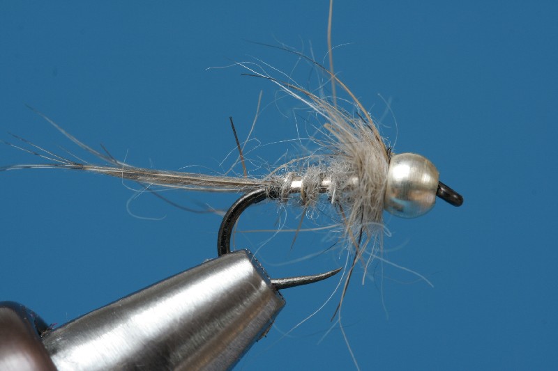 Silbernymphe011