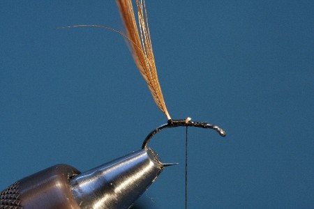 Hintere Hechelfeder einbinden