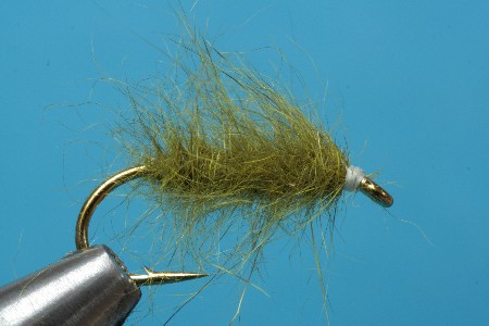 Squirrel_Schlaufe