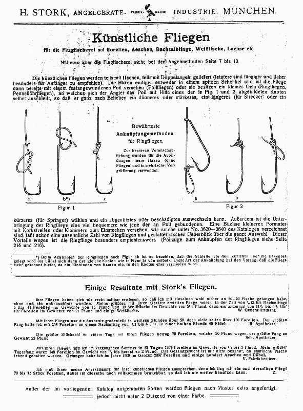 Stork50_Knoten