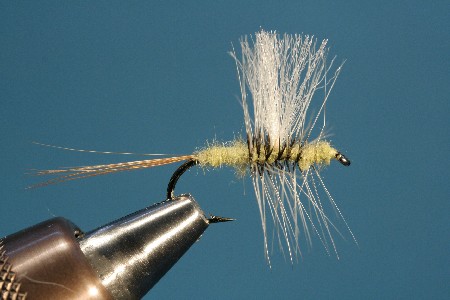 Die fertige Palmer Thoraxhechel