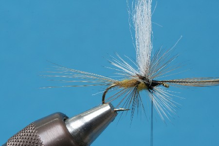 Thorax107
