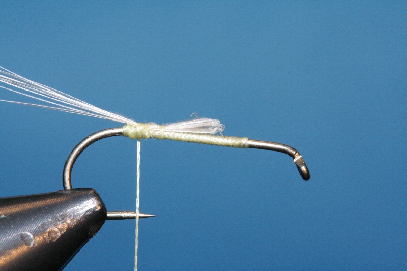 Schwanz fertig
