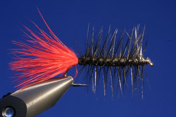 Wooley Bugger Streamer