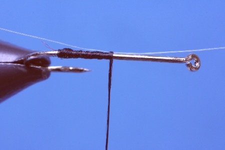 Erste Fiber 