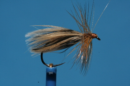 Sedge mit Stockentenfl�gel