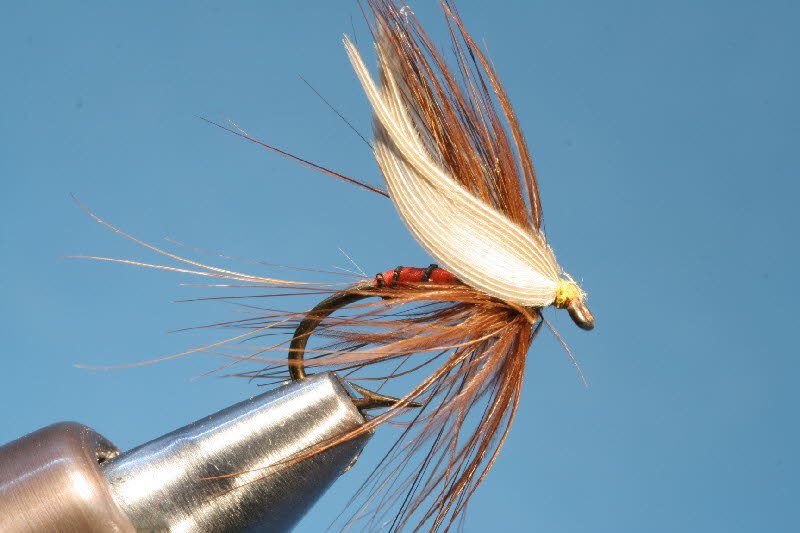 Rotspinner
