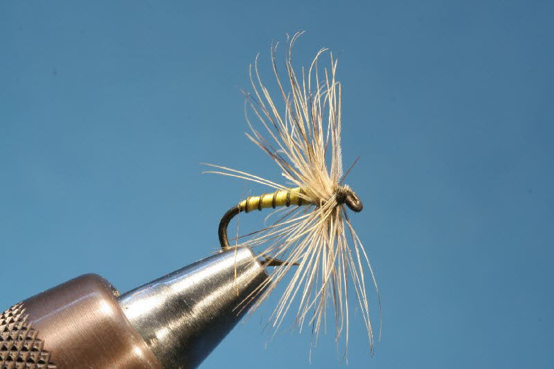 Dunkle Drohne