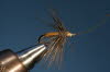 Brauner Spider