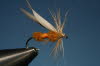 36. Red Ant