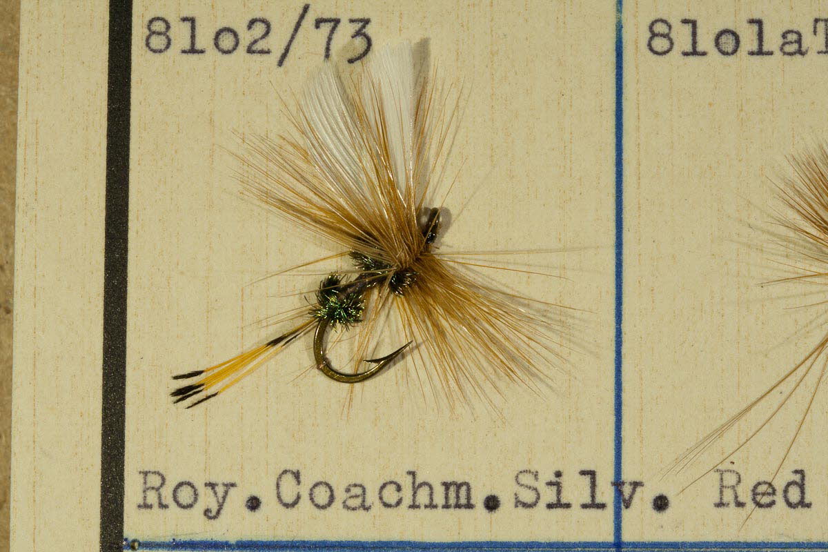 Royal Coachman Silver