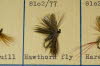 Hawthorn Fly