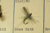 Gras Moth