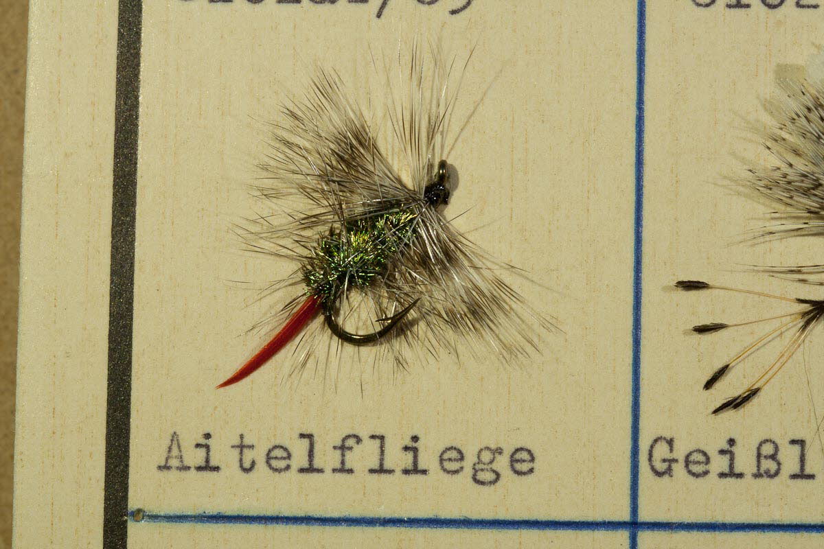 Aitelfliege