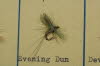Evening Dun