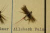 Ailsbach Palmer