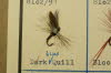 Dark Blue Quill