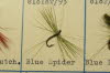 Blue Spider