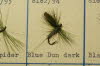 Blue Dun Dark