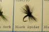 Black Spider