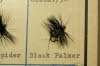 Black Palmer