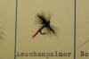 �schenpalmer